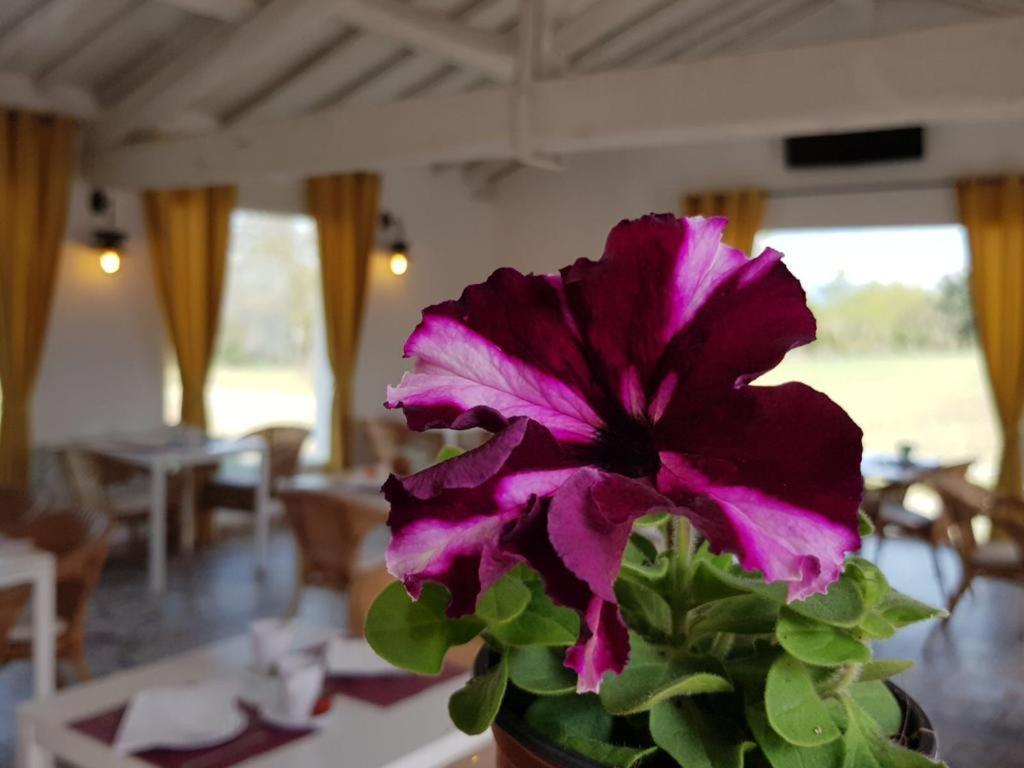 Hotel Valle Del Oja Casalarreina Ngoại thất bức ảnh